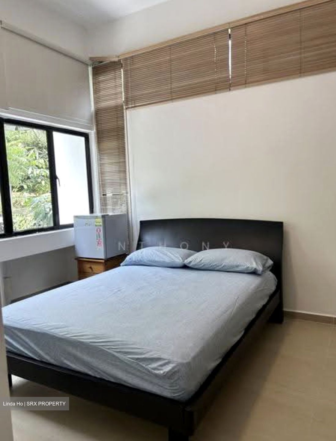 Clementi Park (D21), Condominium #614107521